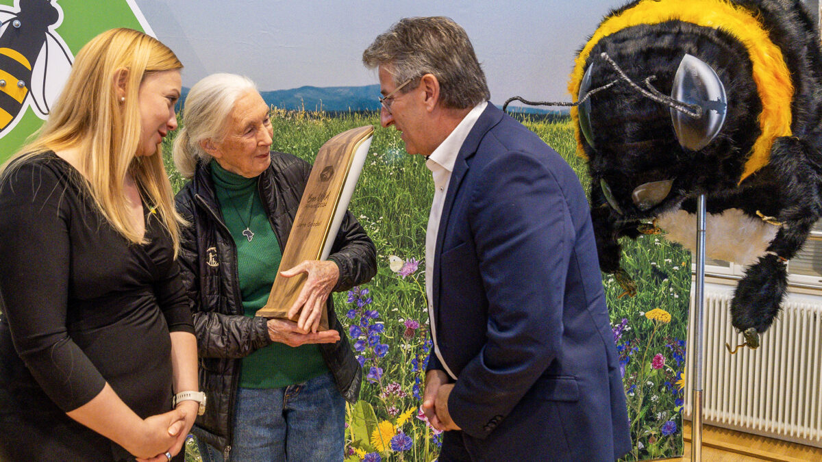 Jane Goodall in Salzburg mit dem BeeWild-Award ausgezeichnet