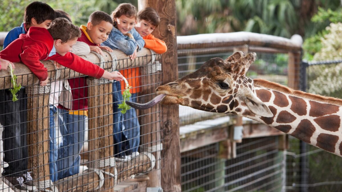 Zoo Salzburg Preise und Öffnungszeiten 