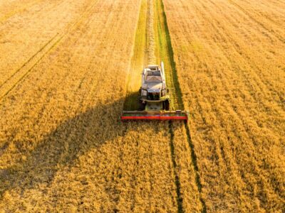 Zitate und Sprüche über die Landwirtschaft: Weisheiten für Landwirte und Bauern