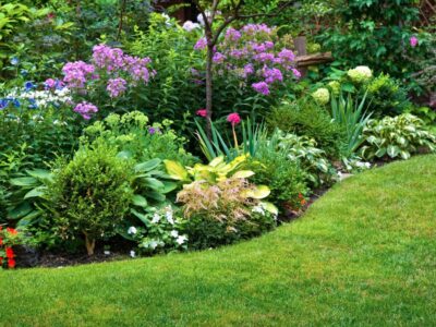 Ganzjährig blühende winterharte Pflanzen für einen blühenden Garten das ganze Jahr über