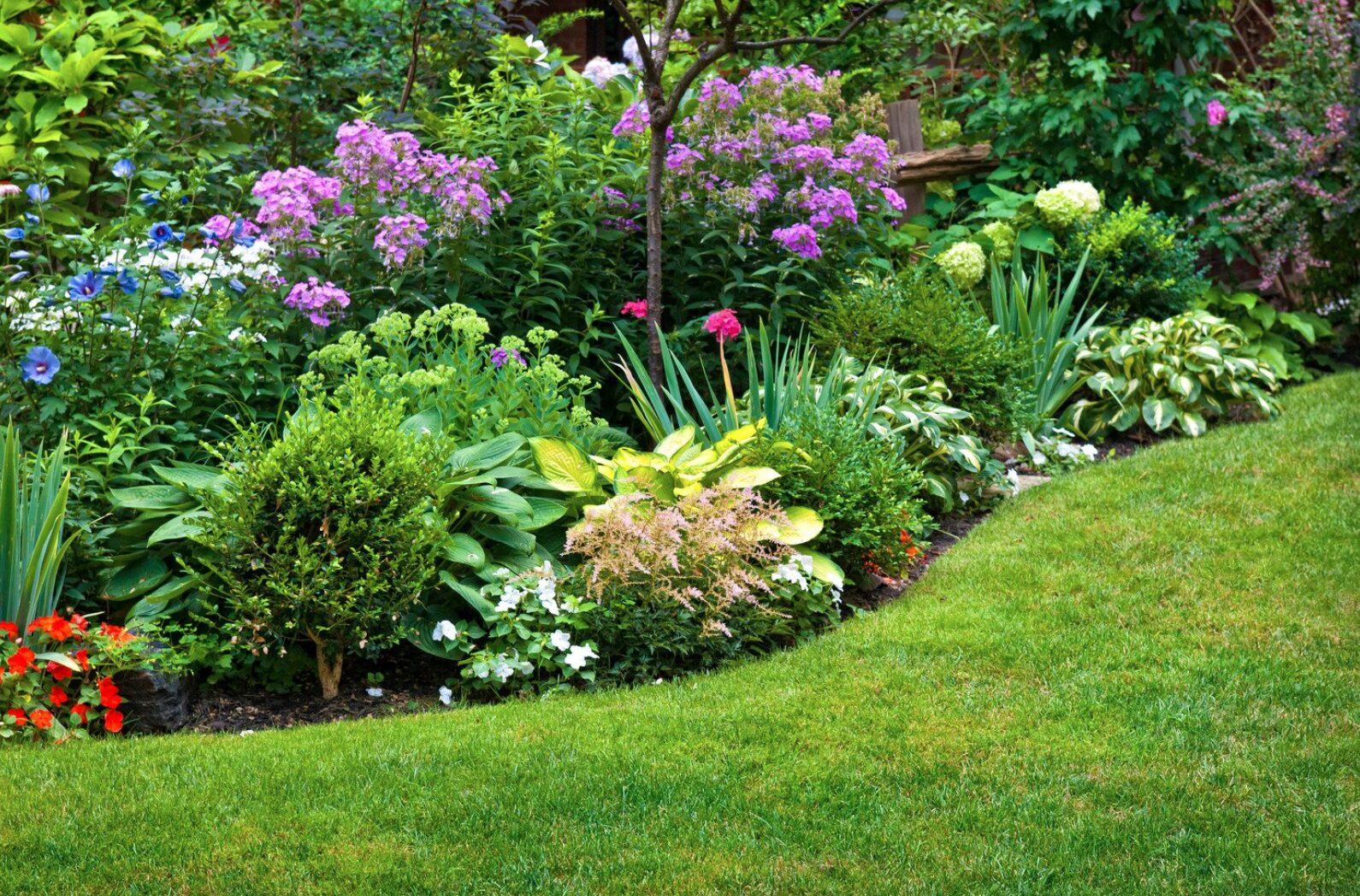 Ganzjährig blühende winterharte Pflanzen im Garten