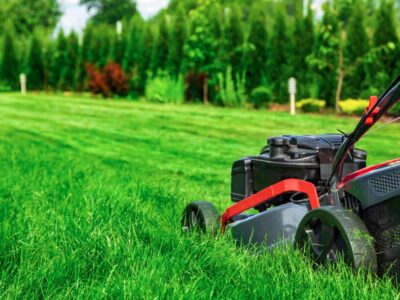 Wann das erste Mal Rasen mähen? – Die besten Tipps für einen gesunden Start in den Frühling