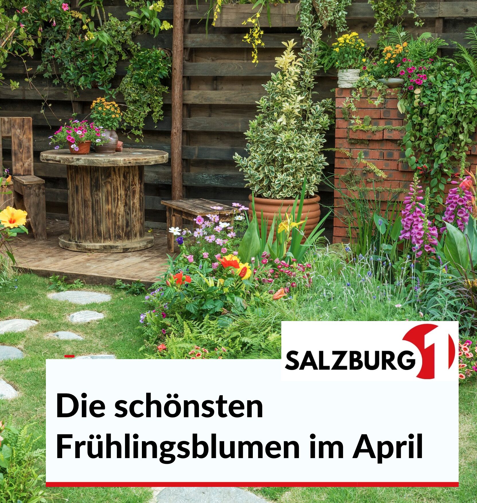 Die schönsten Frühlingsblumen im April