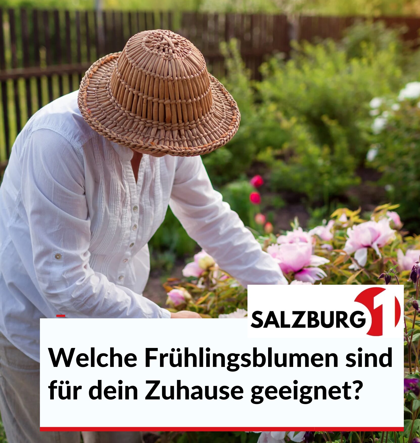 Welche Frühlingsblumen sind für dein Zuhause geeignet?