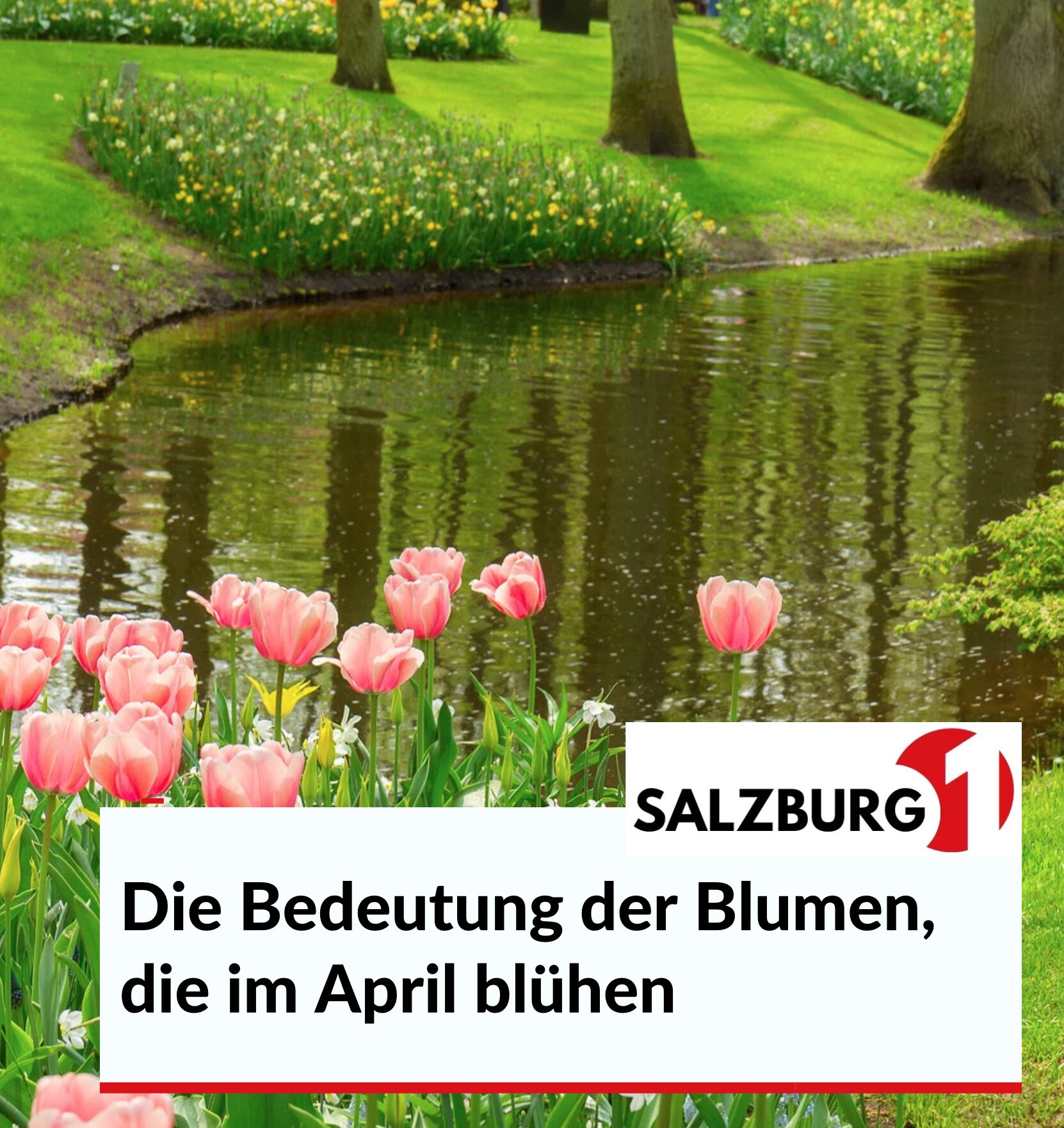 Die Bedeutung der Blumen, die im April blühen