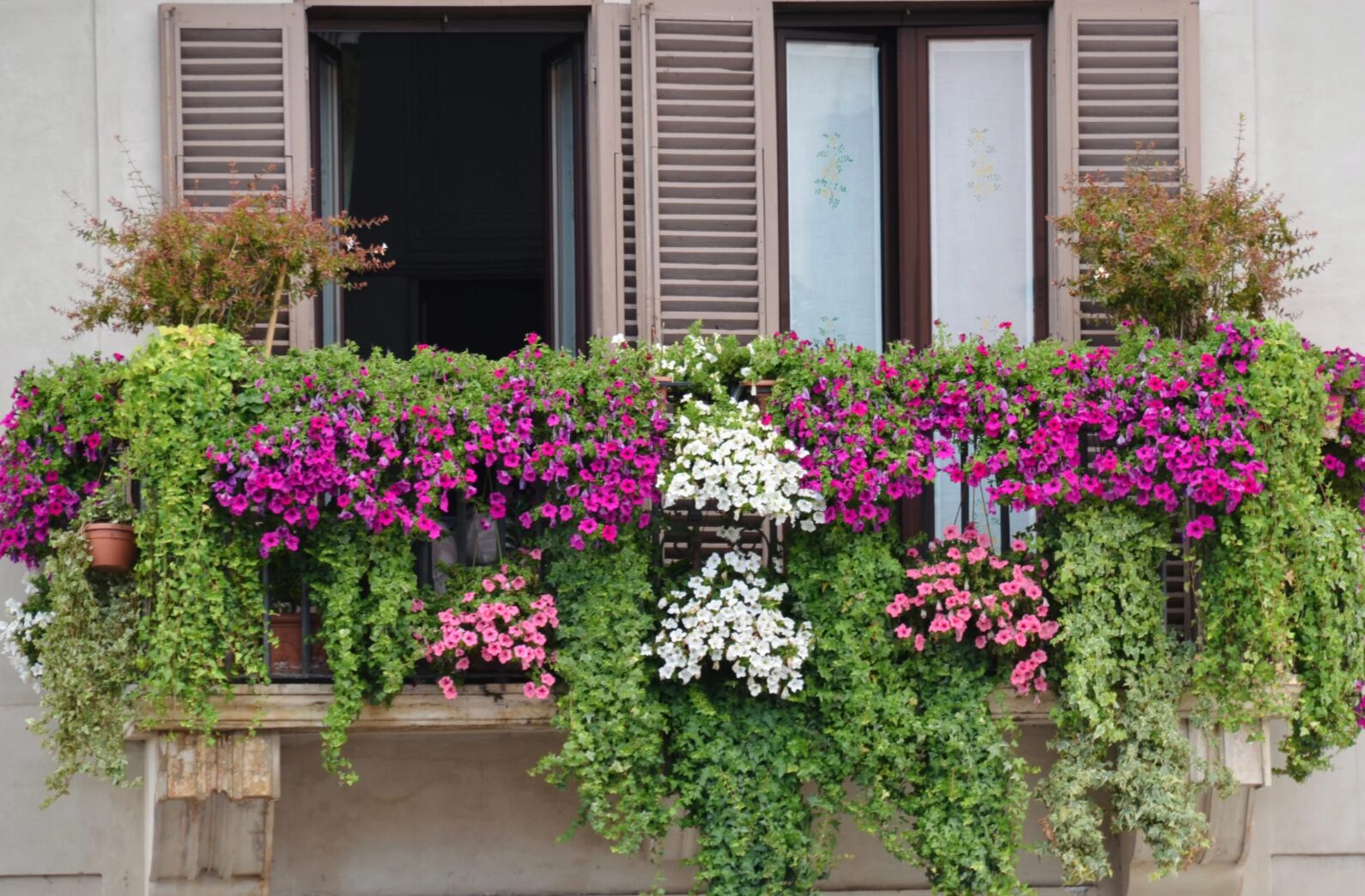 blumenkasten beleuchtung solar Solar Stableuchten Blumen, Bienen & Schmetterlinge