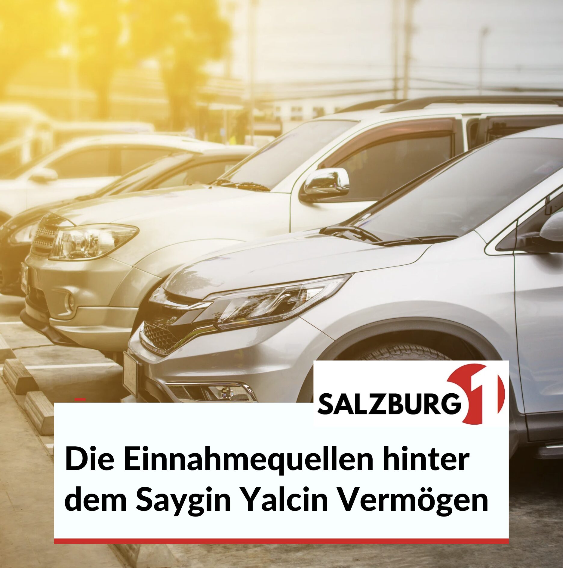 Die Einnahmequellen hinter dem Saygin Yalcin Vermögen