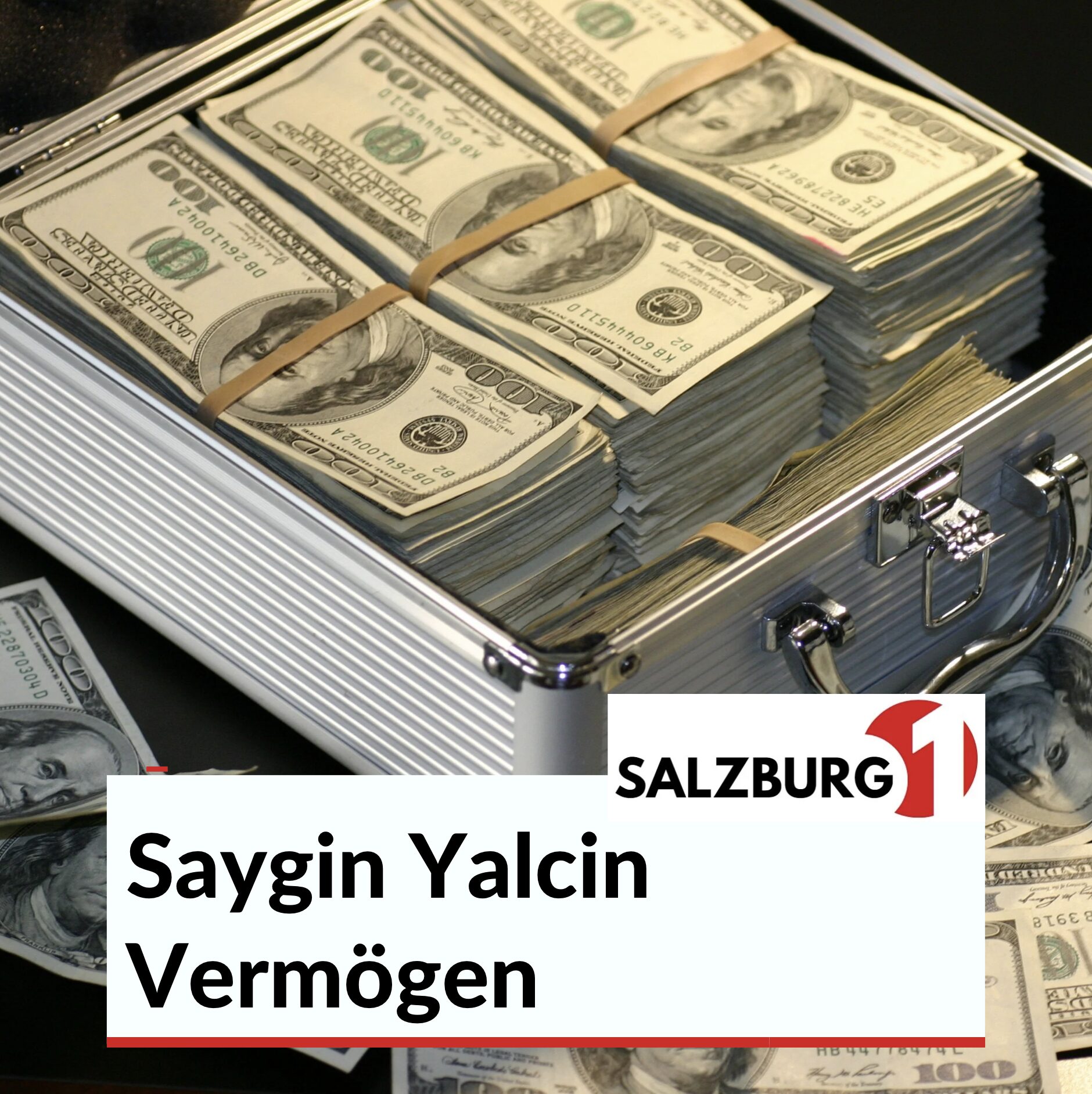 Saygin Yalcin Vermögen