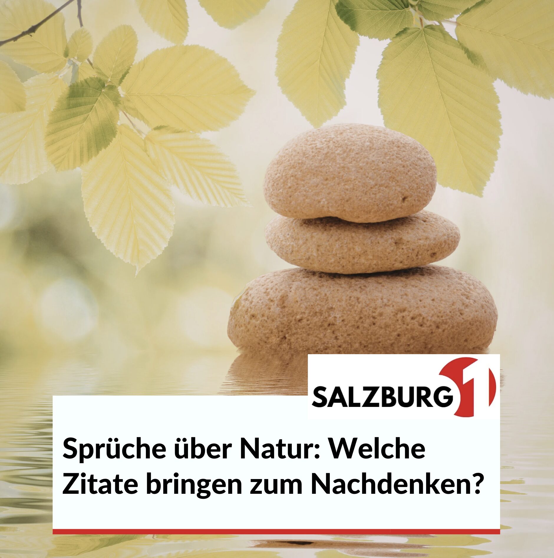 Sprüche über Natur: Welche Zitate bringen zum Nachdenken? Sprüche über Natur: Welche Zitate bringen zum Nachdenken?