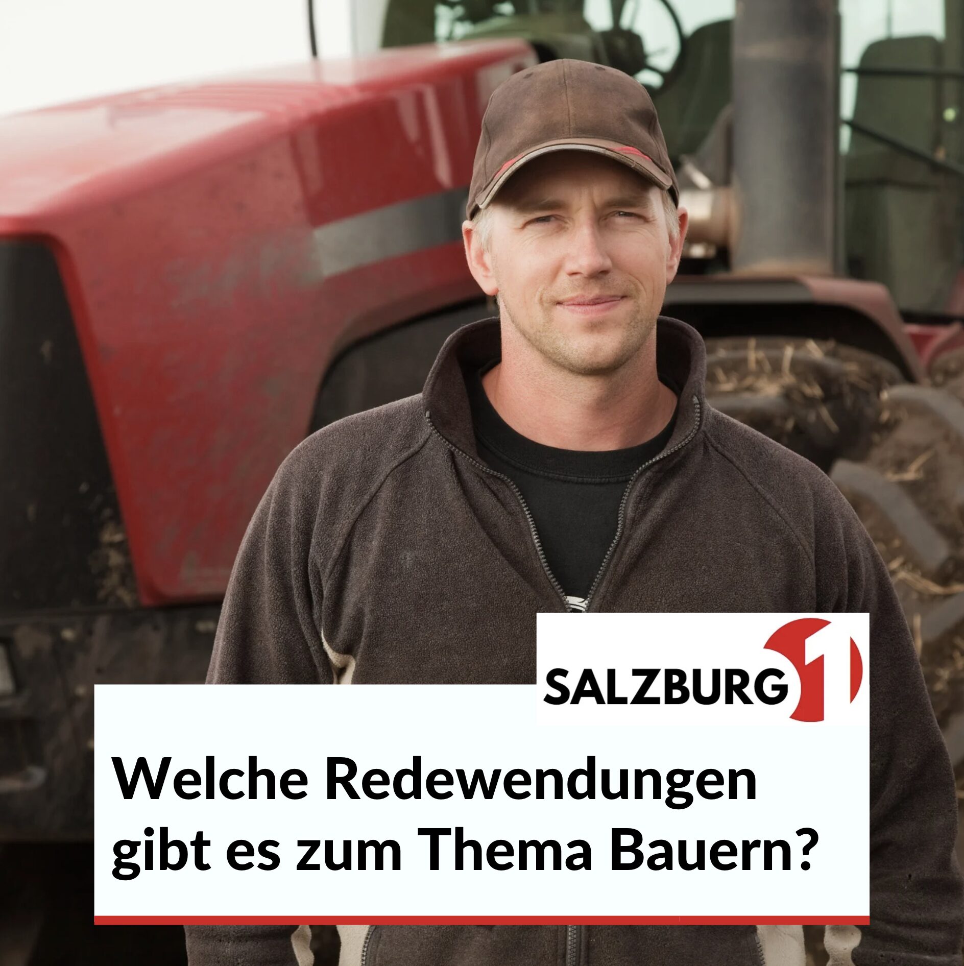 Sprüche über die Landwirtschaft: Welche Redewendungen gibt es zum Thema Bauern? Sprüche über die Landwirtschaft: Welche Redewendungen gibt es zum Thema Bauern?