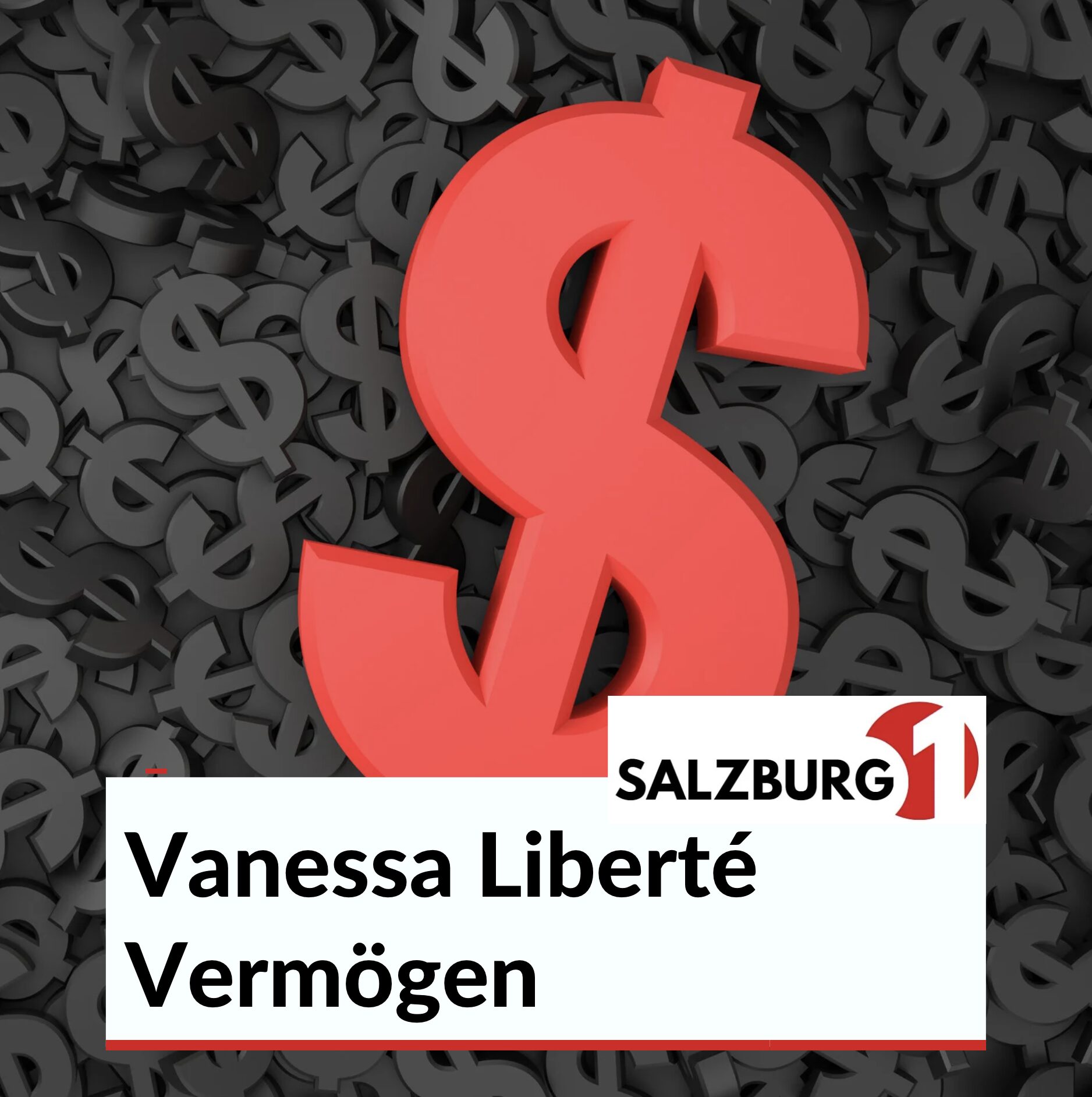 Vanessa Liberté Vermögen