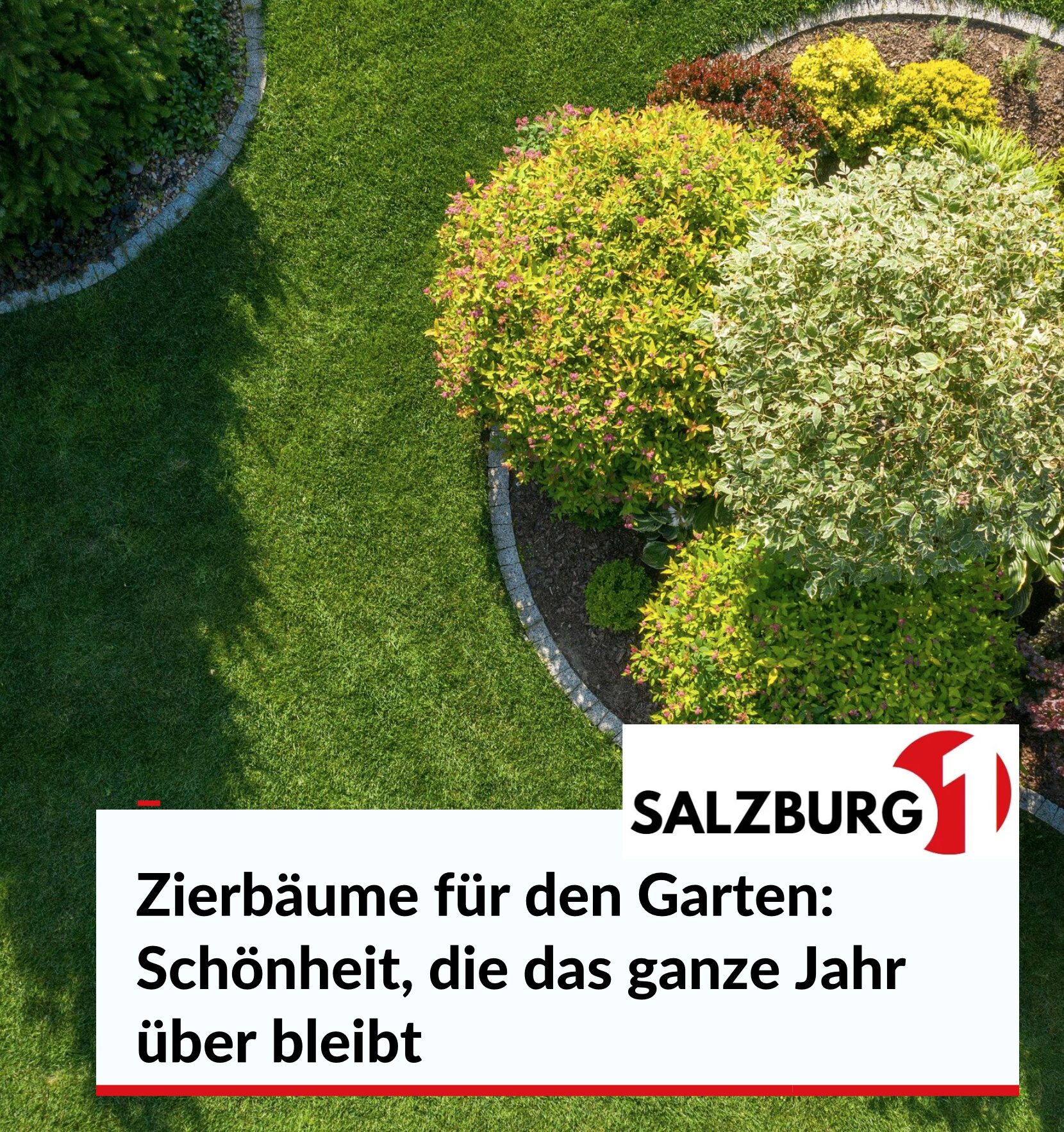 Zierbäume für den Garten: Schönheit, die das ganze Jahr über bleibt
