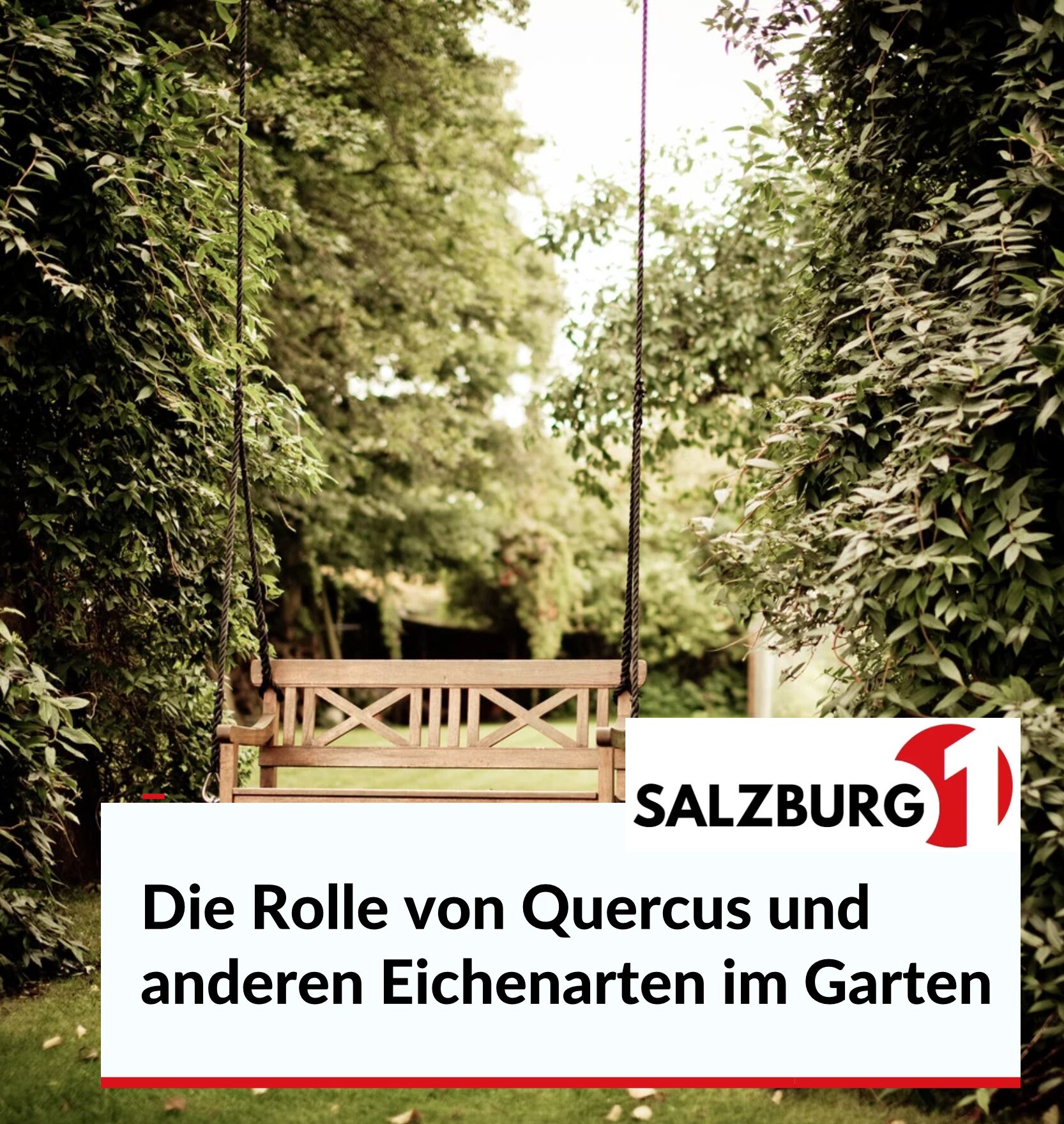 Die Rolle von Quercus und anderen Eichenarten im Garten