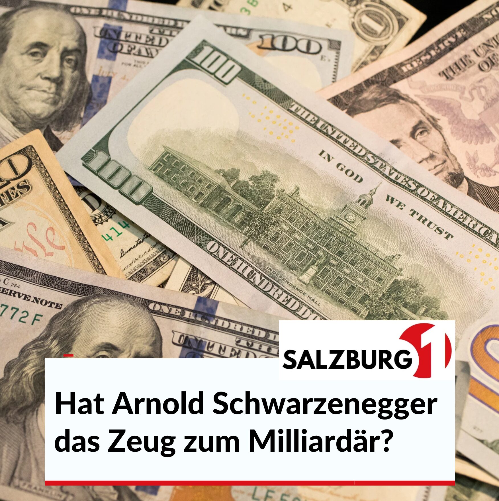 Hat Arnold Schwarzenegger das Zeug zum Milliardär?
