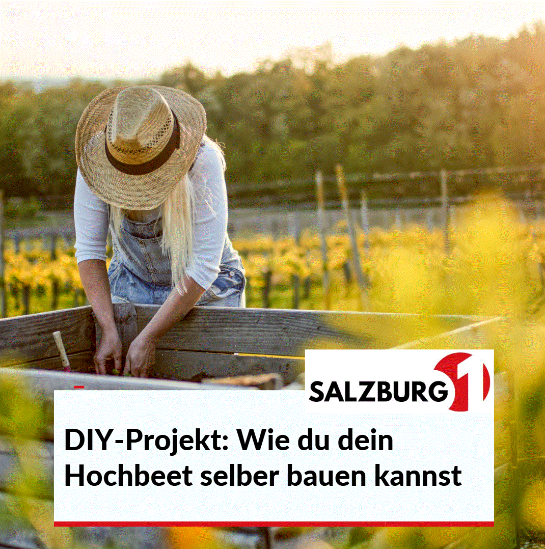DIY-Projekt Wie du dein Hochbeet selber bauen kannst
