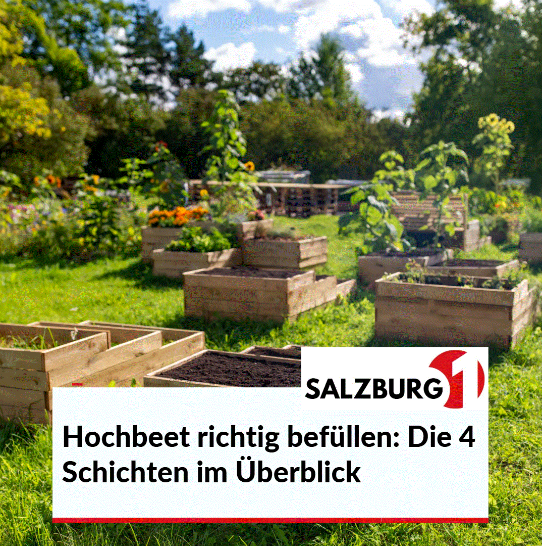 Hochbeet richtig befüllen Die 4 Schichten im Überblick