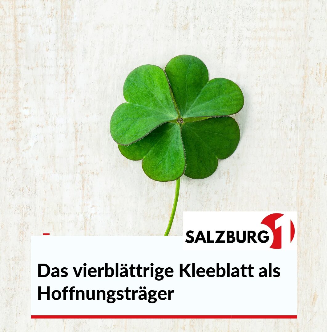 Das vierblättrige Kleeblatt als Hoffnungsträger
