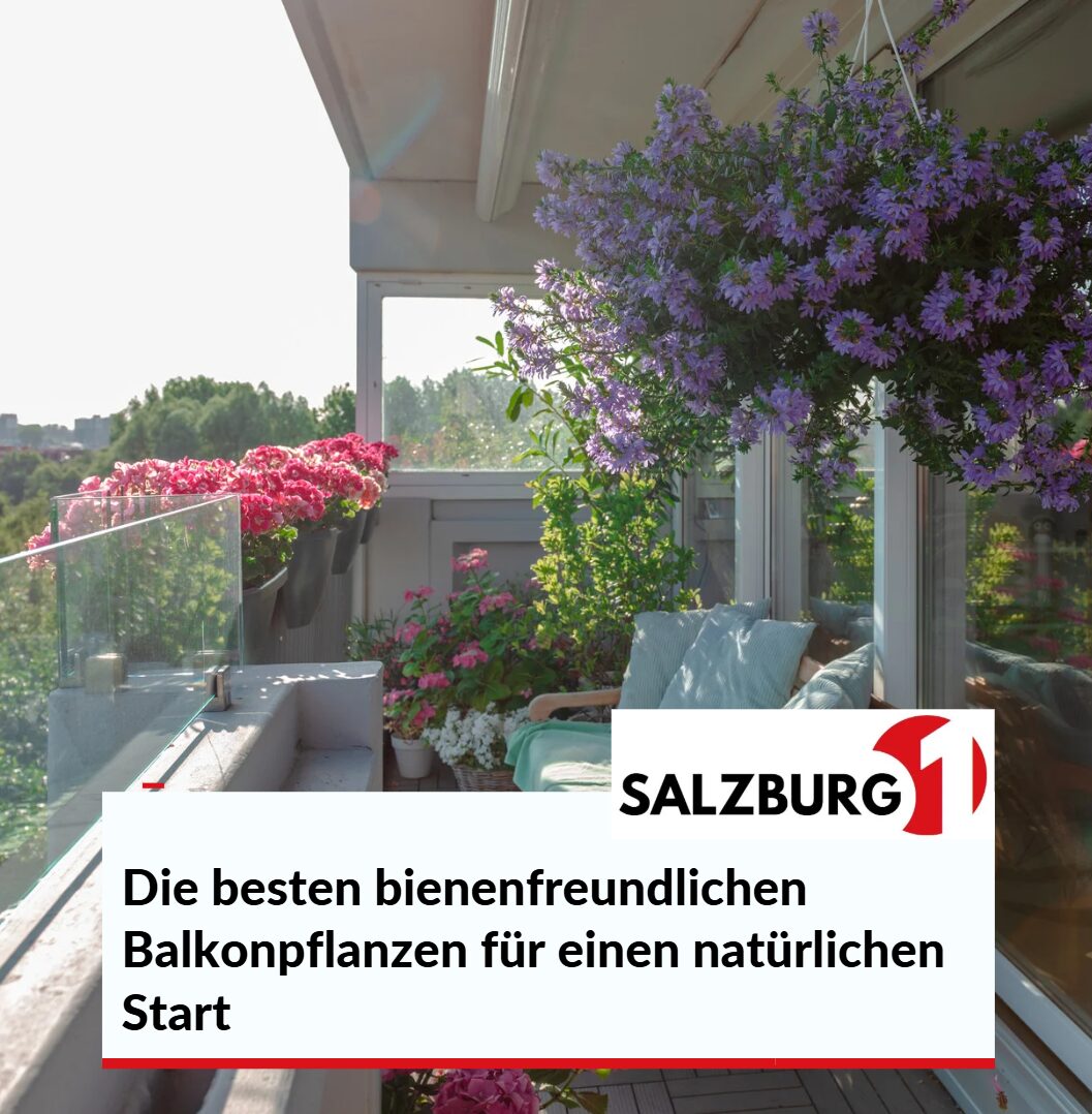Die besten bienenfreundlichen Balkonpflanzen für einen natürlichen Start