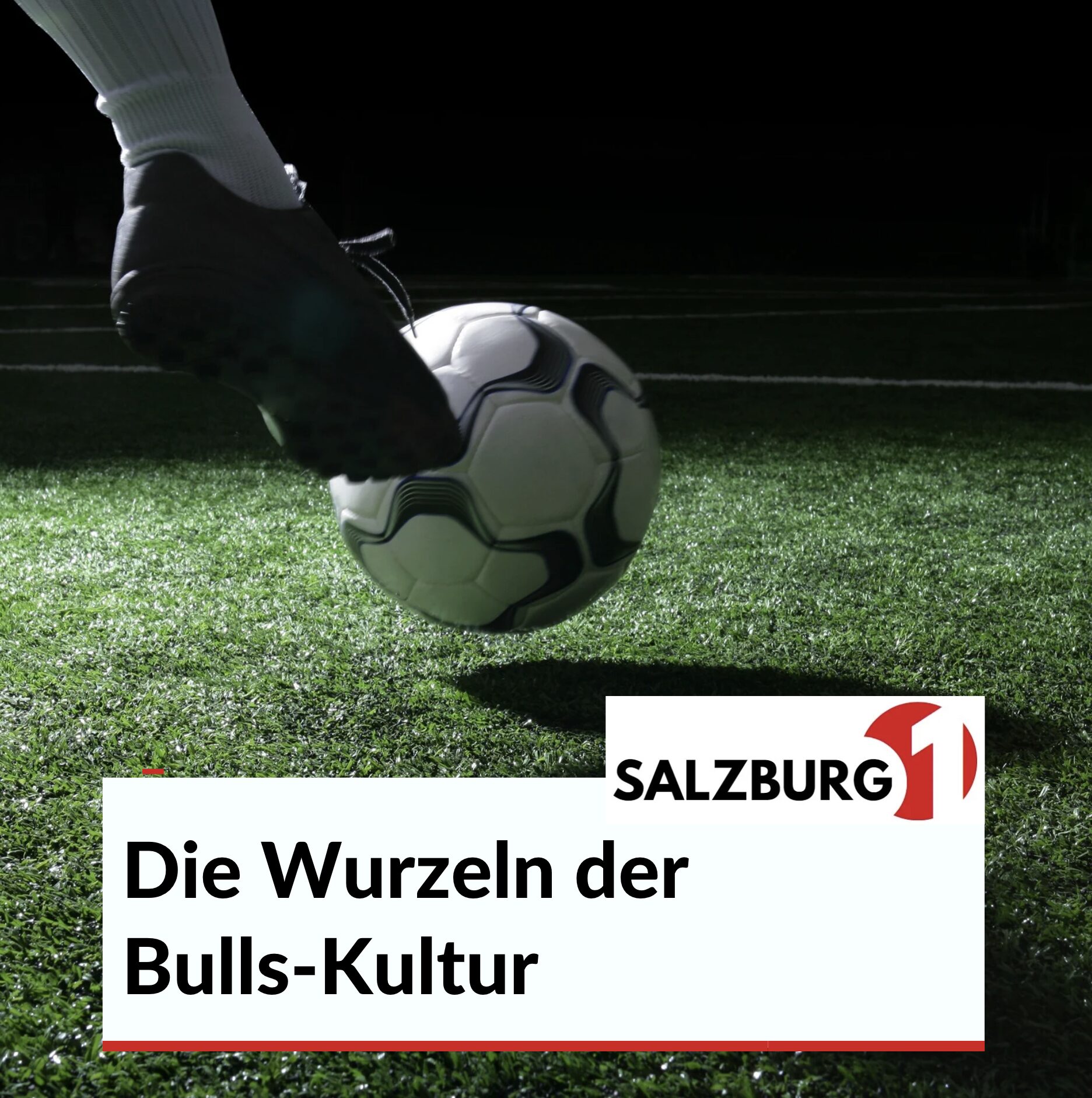 Die Wurzeln der Bulls-Kultur Die Wurzeln der Bulls-Kultur