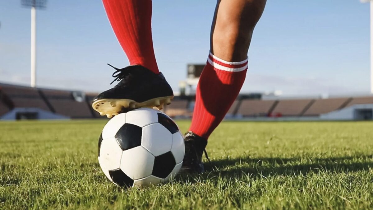 Geschichte der Bulls-Fans