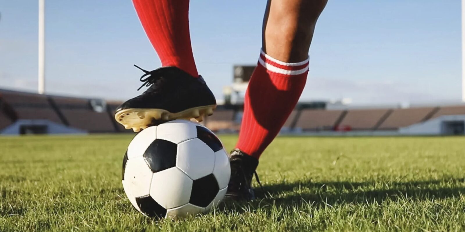 Geschichte der Bulls-Fans