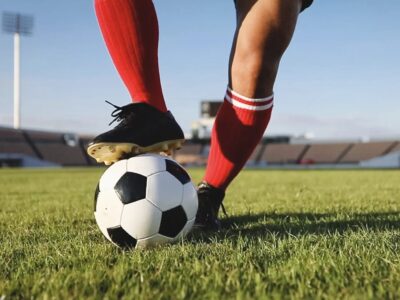 Geschichte der Bulls-Fans