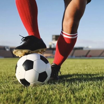 Geschichte der Bulls-Fans