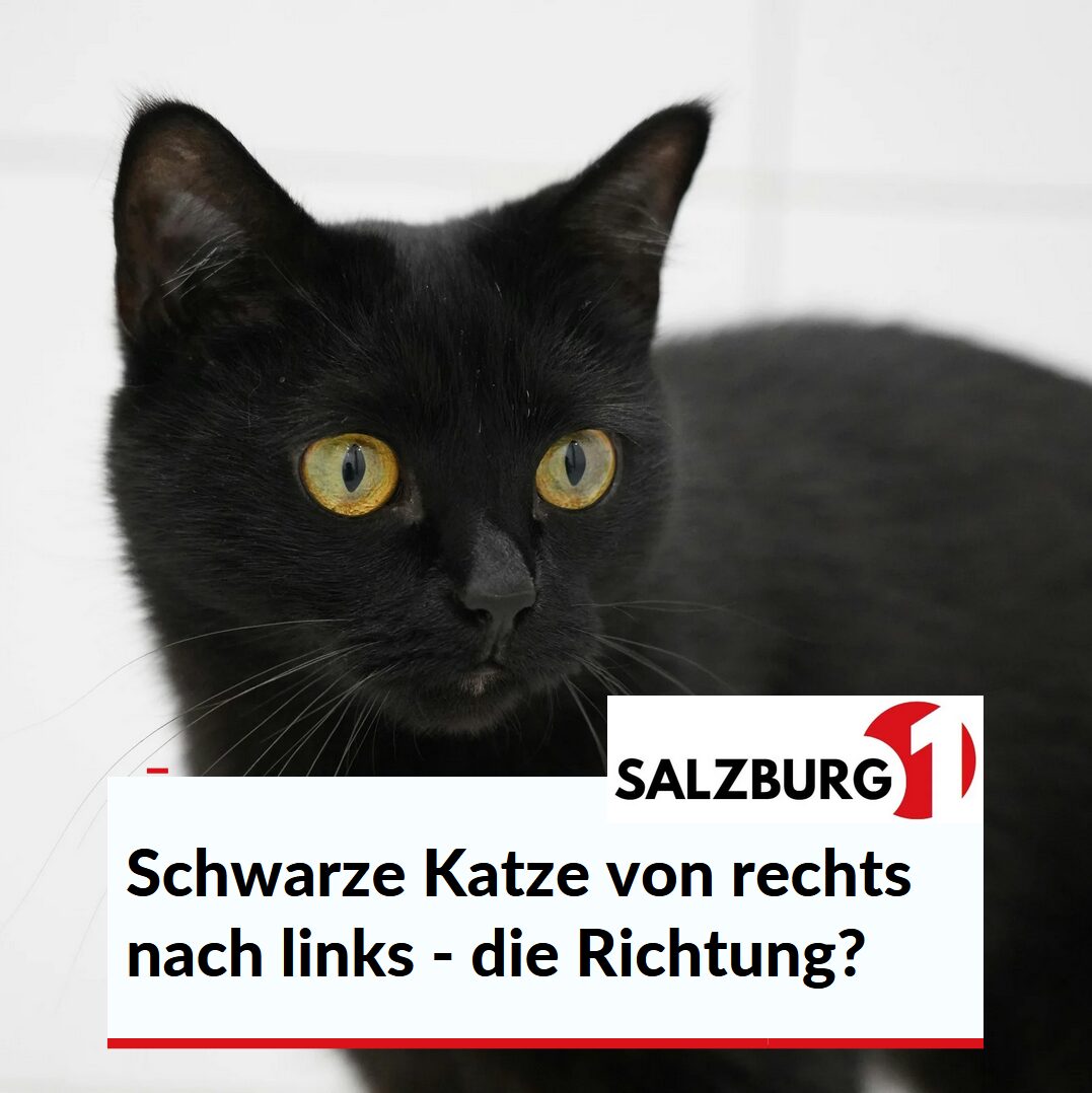 Schwarze Katze von rechts nach links - warum spielt die Richtung eine Rolle? Schwarze Katze von rechts nach links - warum spielt die Richtung eine Rolle?