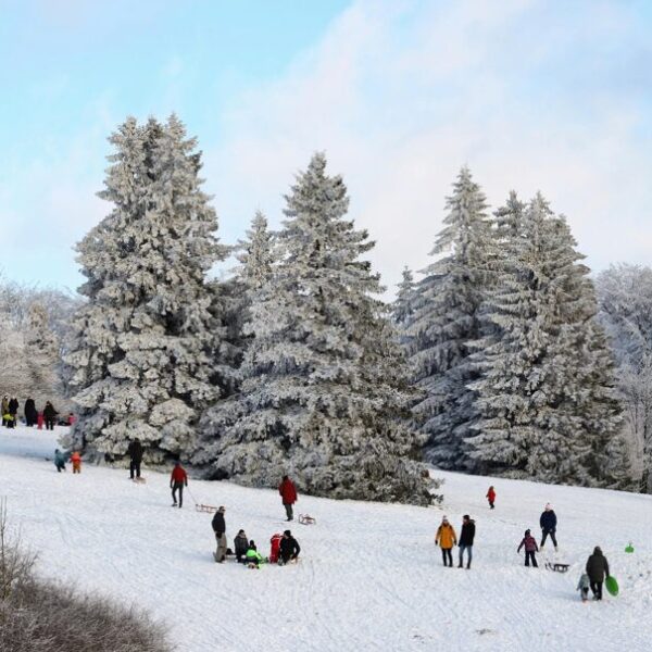 längste rodelbahn österreich