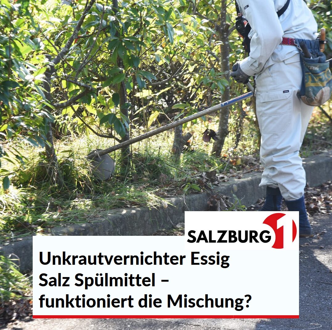 Unkrautvernichter Essig Salz Spülmittel – funktioniert die Mischung? Unkrautvernichter Essig Salz Spülmittel – funktioniert die Mischung?