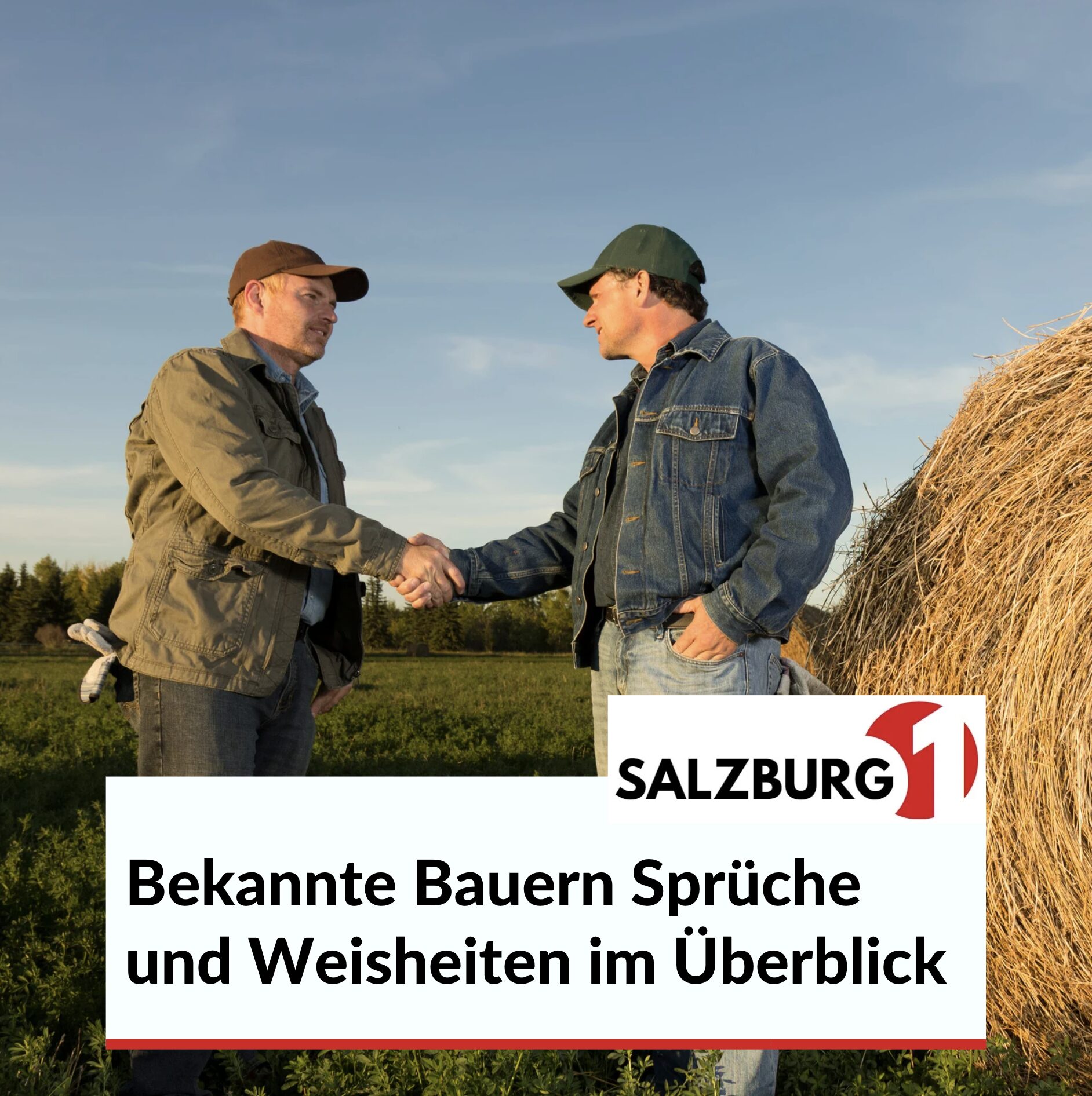 Bekannte Bauern Sprüche und Weisheiten im Überblick Bekannte Bauern Sprüche und Weisheiten im Überblick