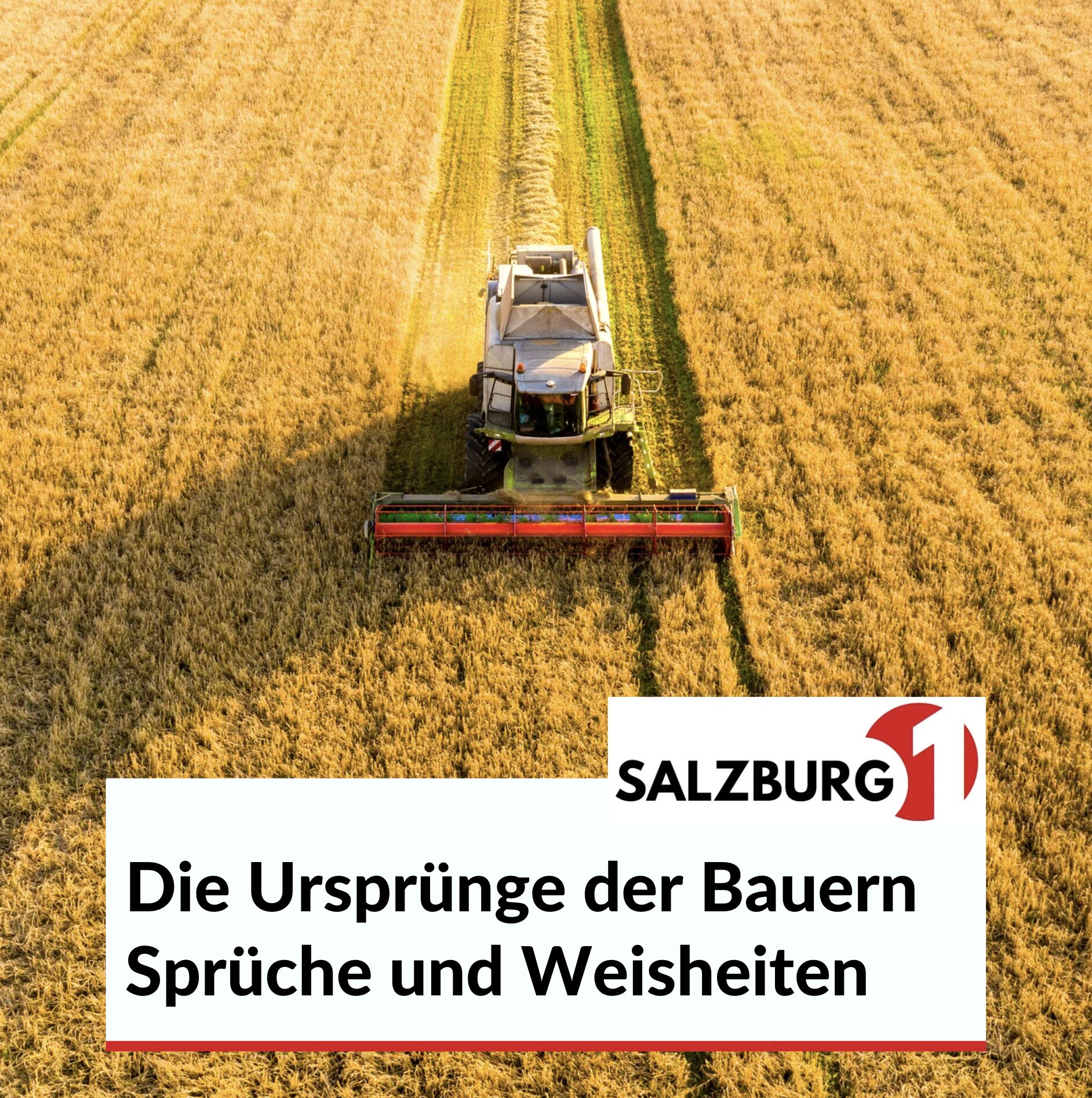 Die Ursprünge der Bauern Sprüche und Weisheiten Die Ursprünge der Bauern Sprüche und Weisheiten