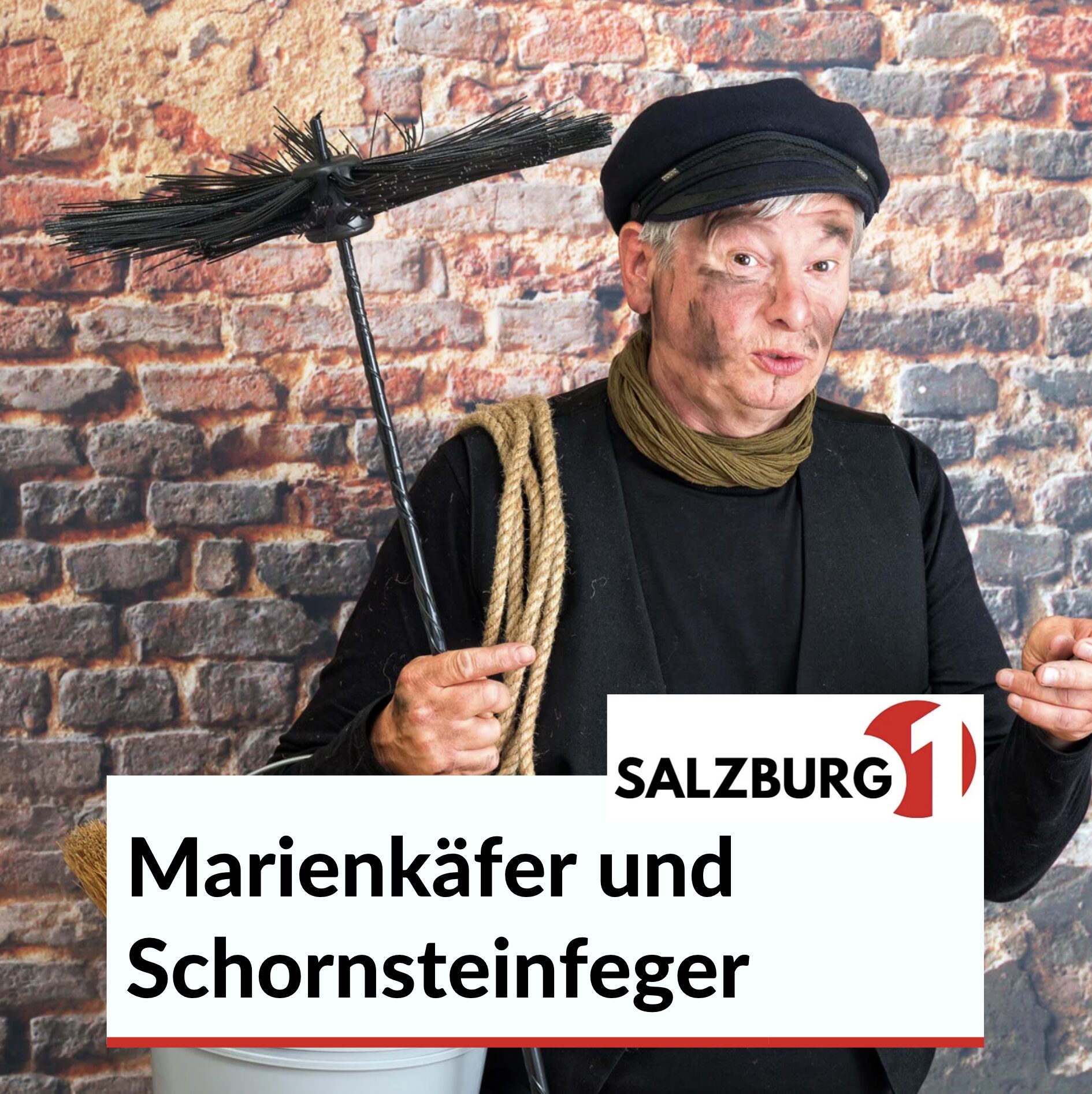 Glücksbringer in anderen Ländern: Marienkäfer und Schornsteinfeger Glücksbringer in anderen Ländern: Marienkäfer und Schornsteinfeger