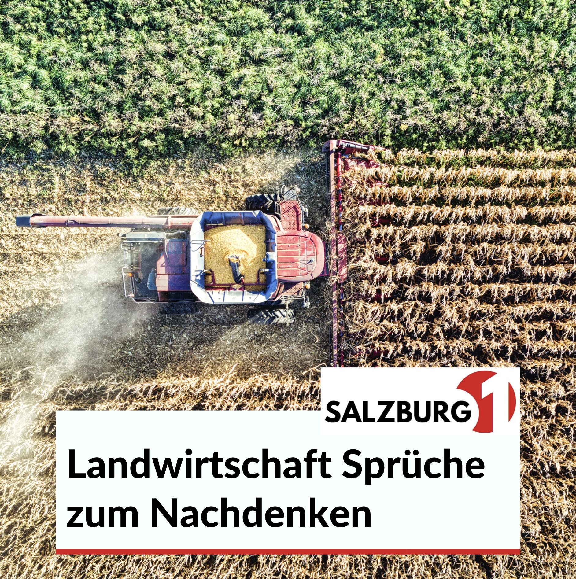 Landwirtschaft Sprüche zum Nachdenken Landwirtschaft Sprüche zum Nachdenken