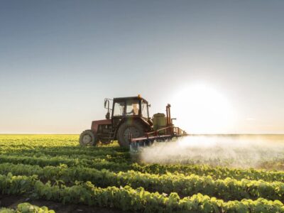 Landwirtschaft Sprüche zum Nachdenken