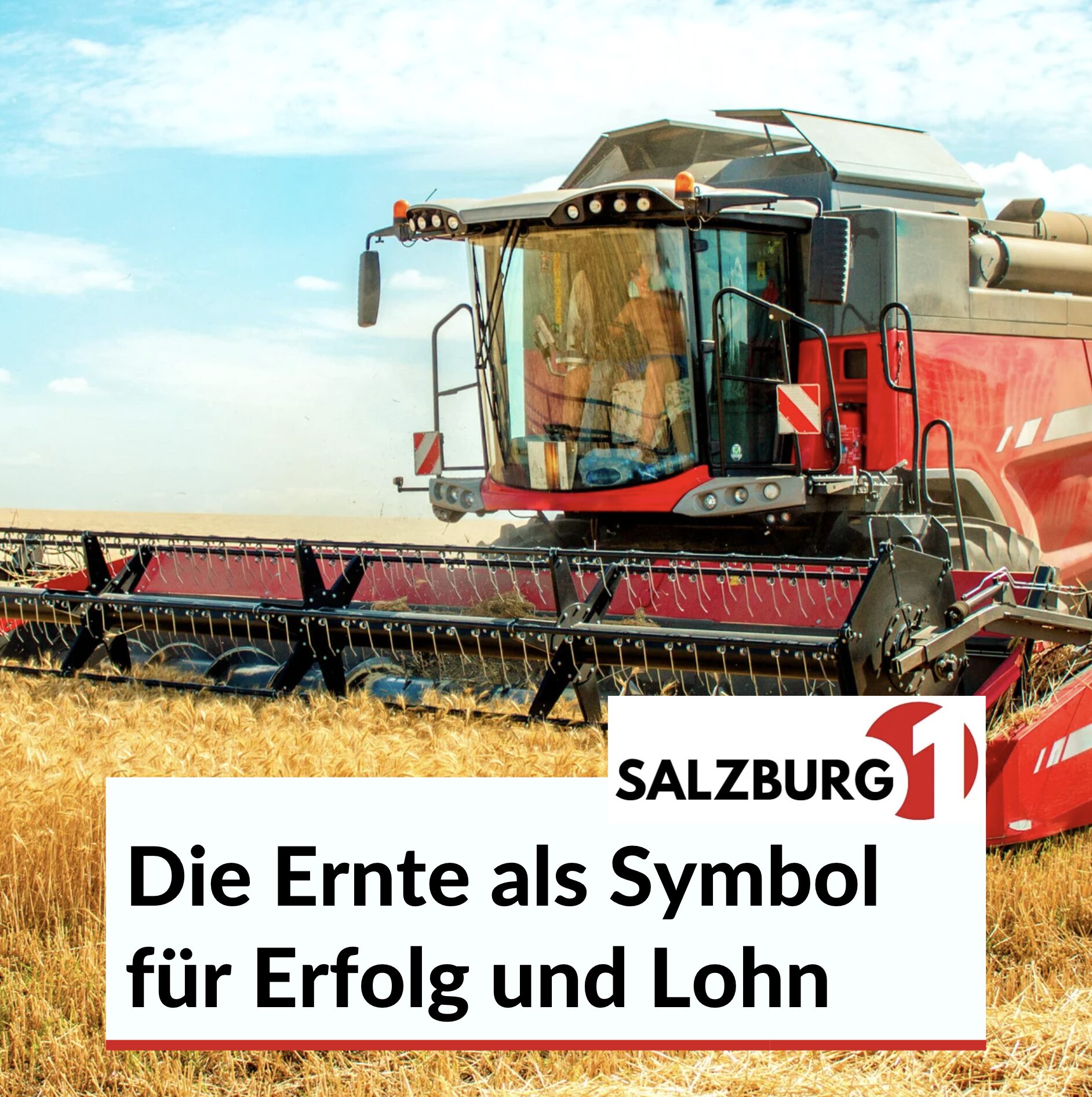 Landwirtschaft Sprüche zum Nachdenken - Ernte als Symbol für Erfolg und Lohn Landwirtschaft Sprüche zum Nachdenken - Ernte als Symbol für Erfolg und Lohn