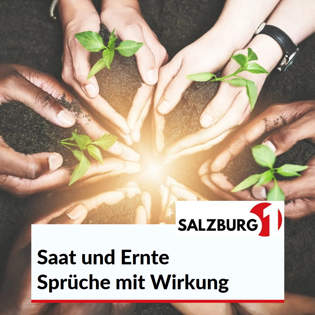 Saat und Ernte Sprüche mit Wirkung Saat und Ernte Sprüche mit Wirkung