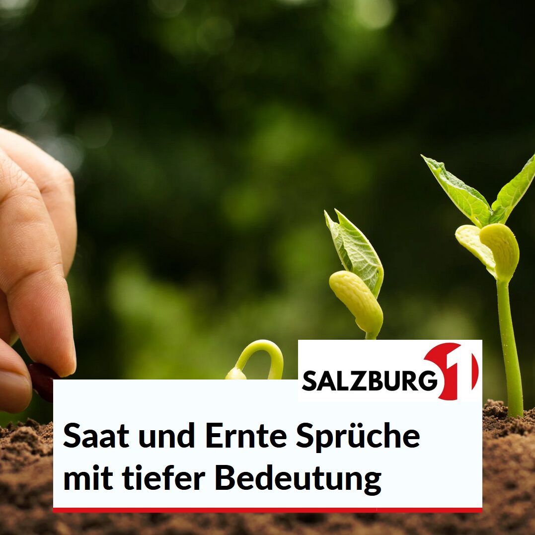 Saat und Ernte Sprüche mit tiefer Bedeutung Saat und Ernte Sprüche mit tiefer Bedeutung