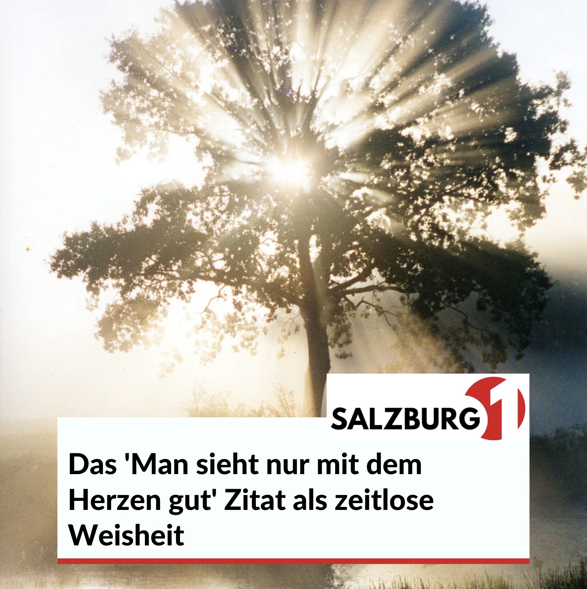 Das 'Man sieht nur mit dem Herzen gut' Zitat als zeitlose Weisheit Das 'Man sieht nur mit dem Herzen gut' Zitat als zeitlose Weisheit