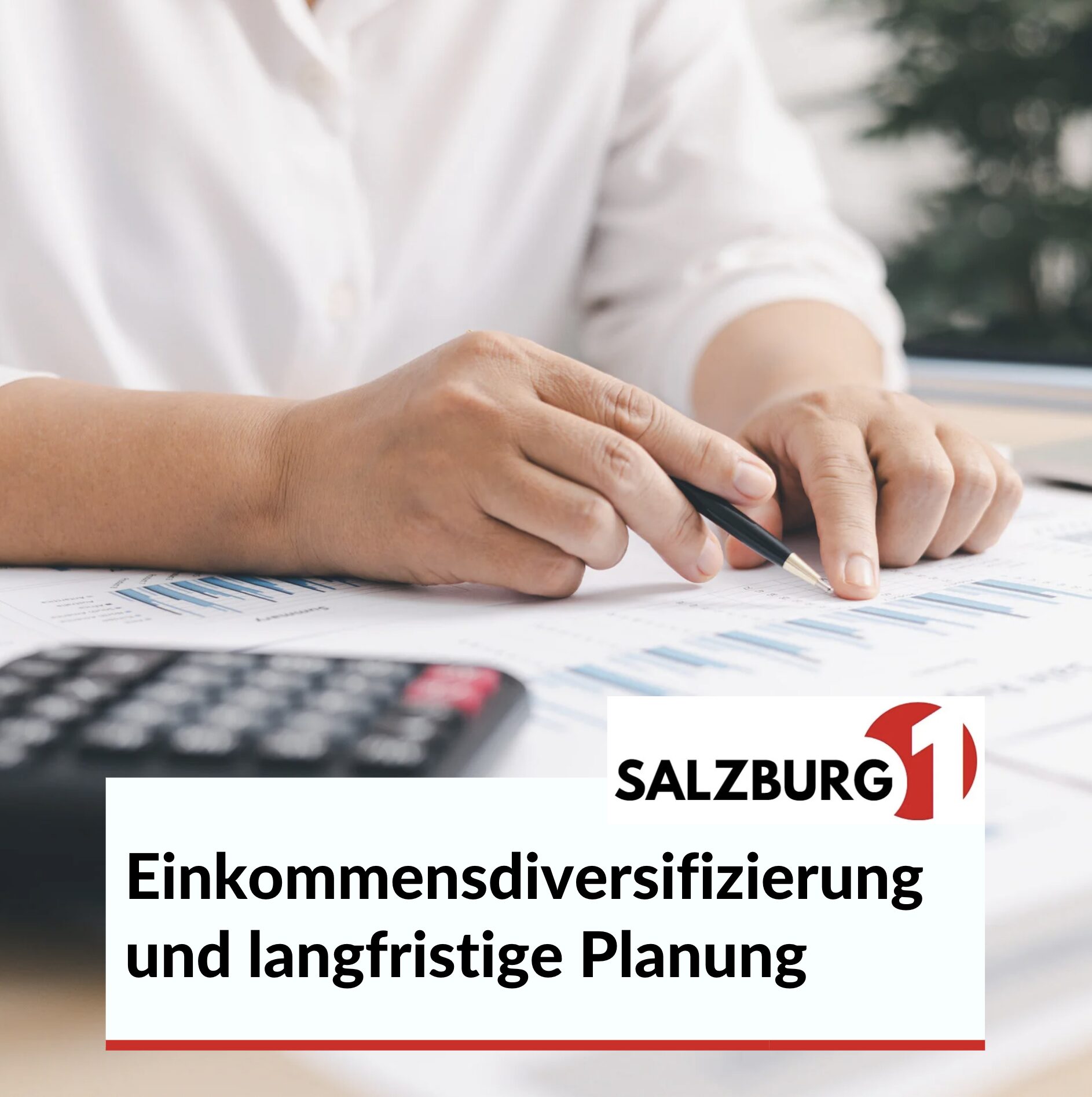 Einkommensdiversifizierung und langfristige Planung Einkommensdiversifizierung und langfristige Planung