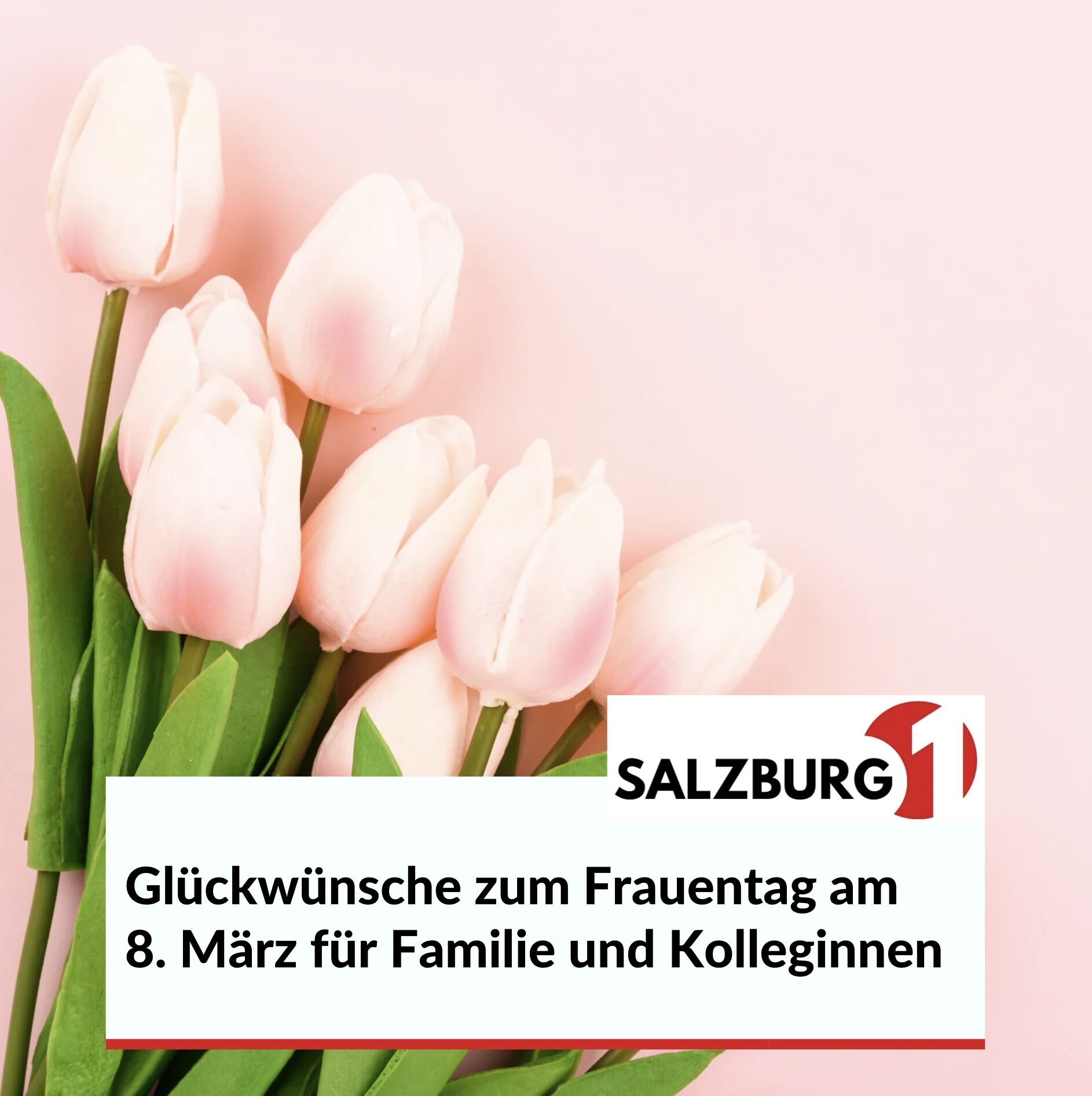 Glückwünsche zum Frauentag am 8. März für Familie und Kolleginnen Glückwünsche zum Frauentag am 8. März für Familie und Kolleginnen