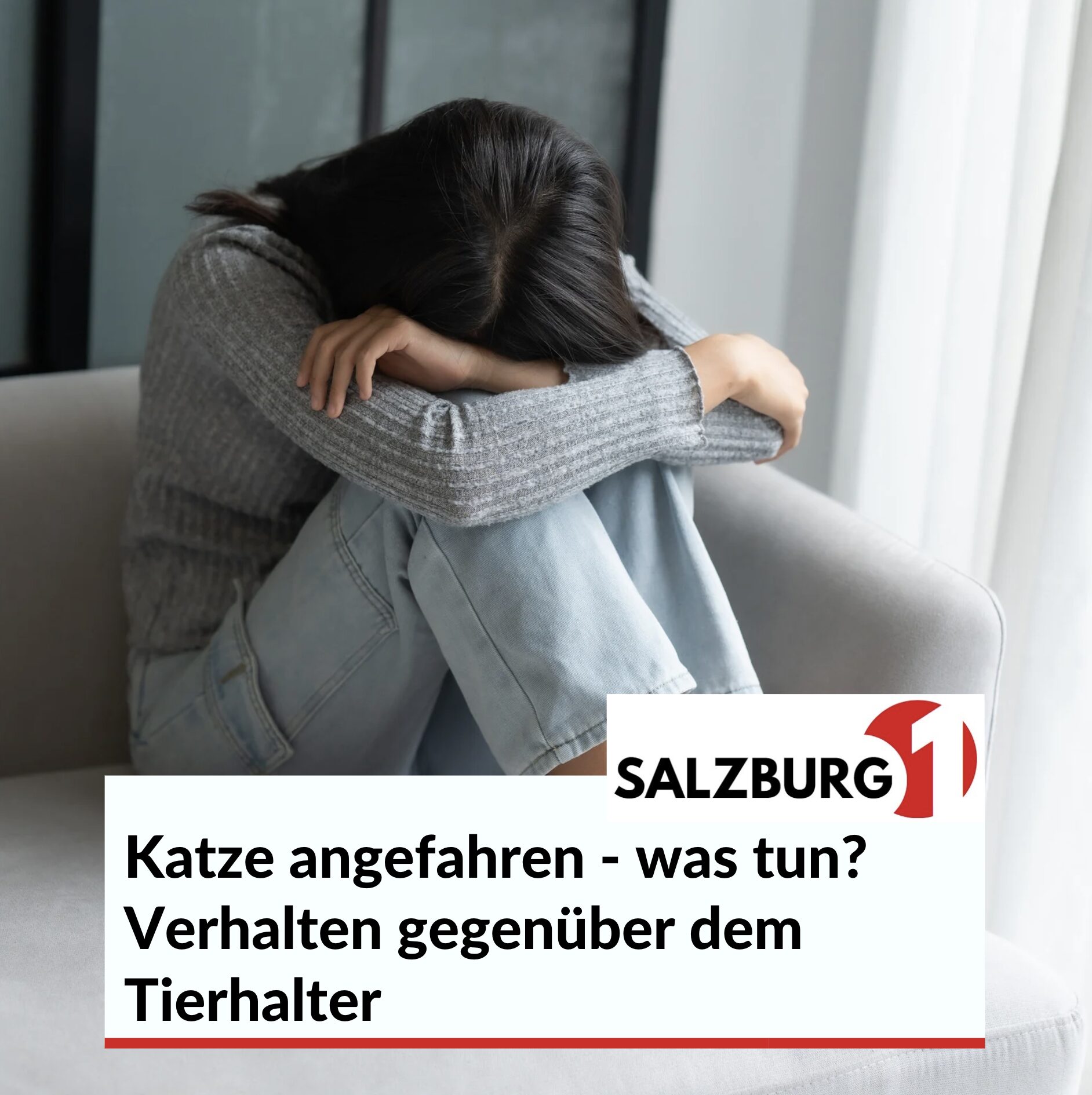 Katze angefahren - was tun? Verhalten gegenüber dem Tierhalter Katze angefahren - was tun? Verhalten gegenüber dem Tierhalter