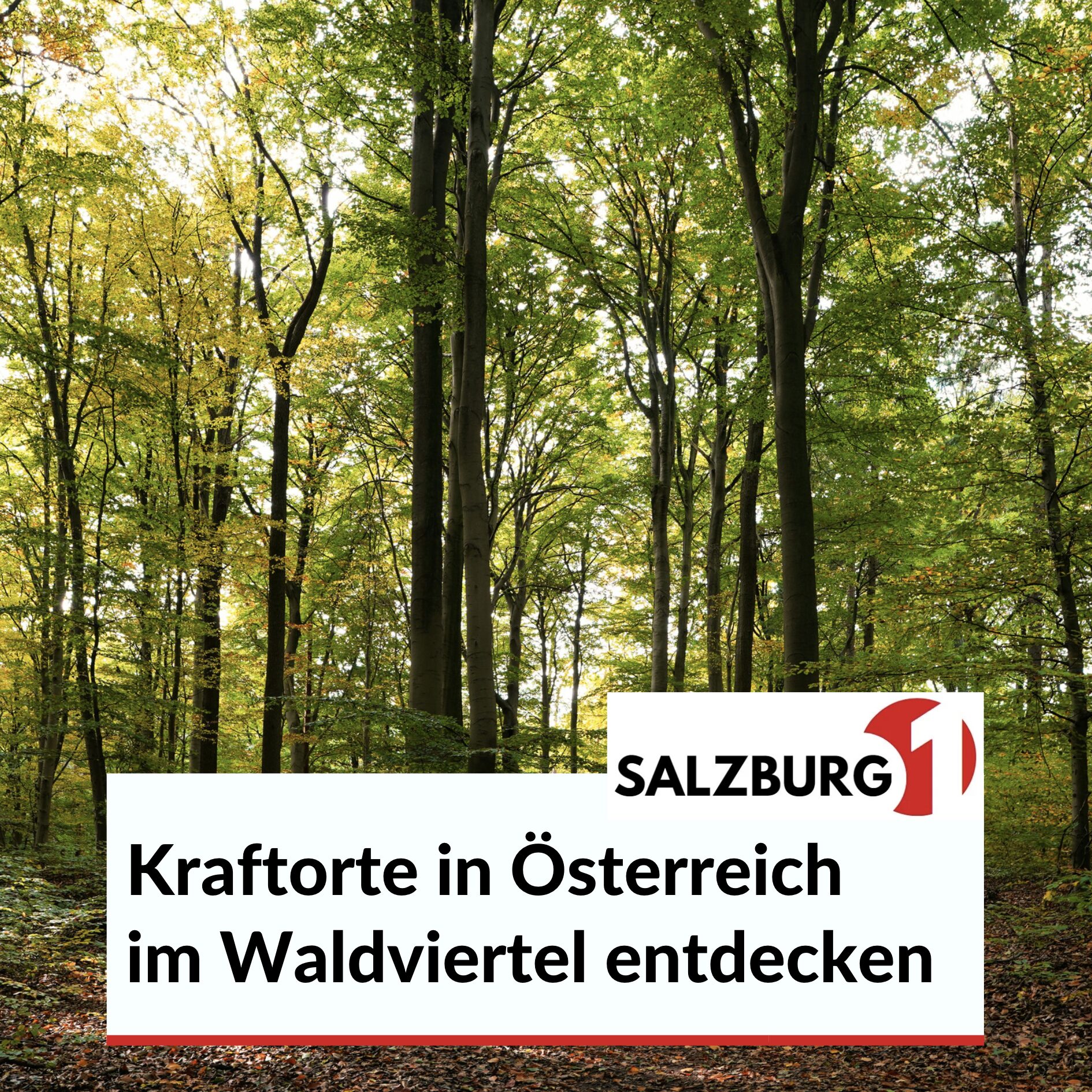 Kraftorte in Österreich im Waldviertel entdecken Kraftorte in Österreich im Waldviertel entdecken