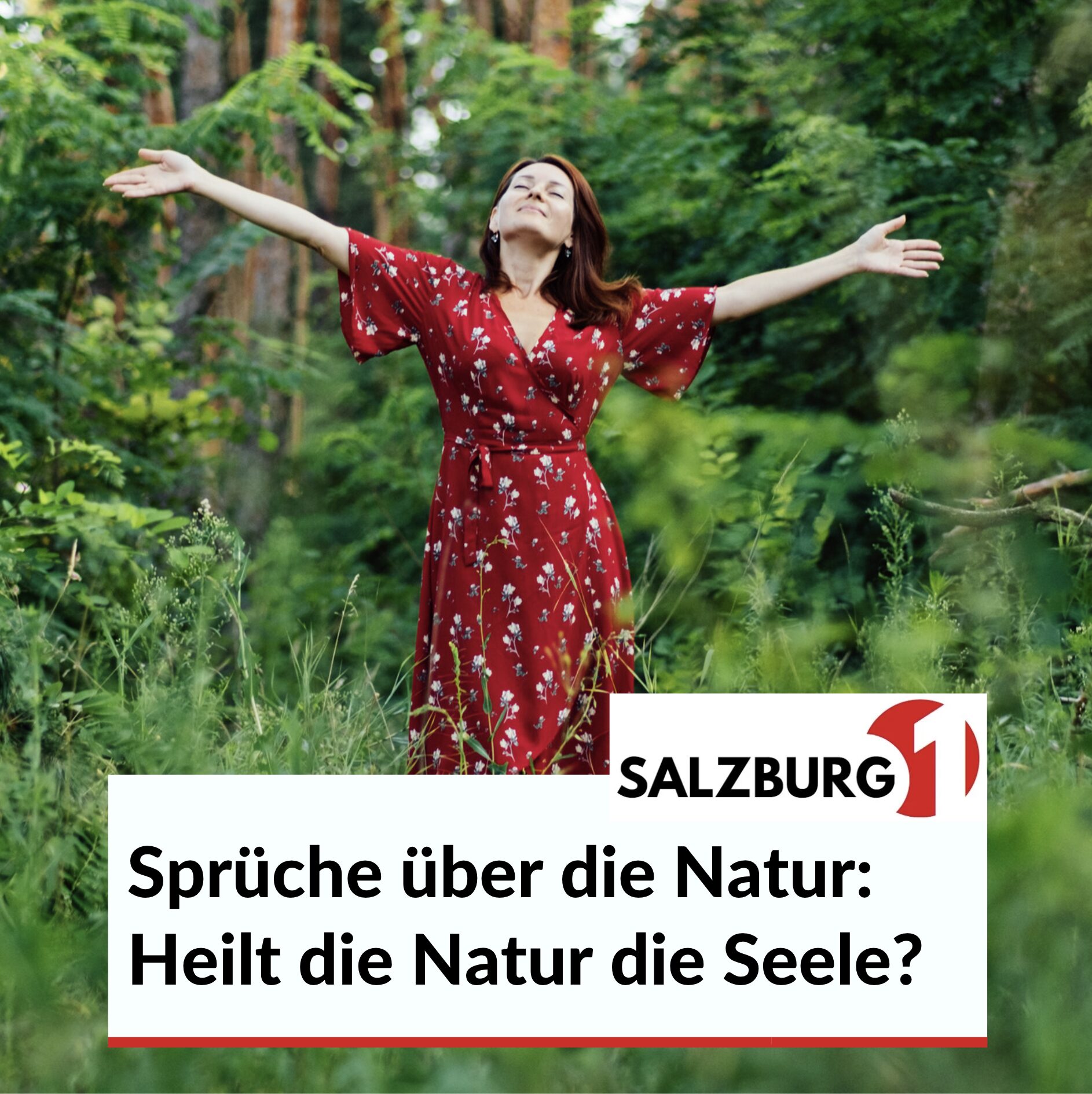 Sprüche über die Natur: Heilt die Natur die Seele? Sprüche über die Natur: Heilt die Natur die Seele?
