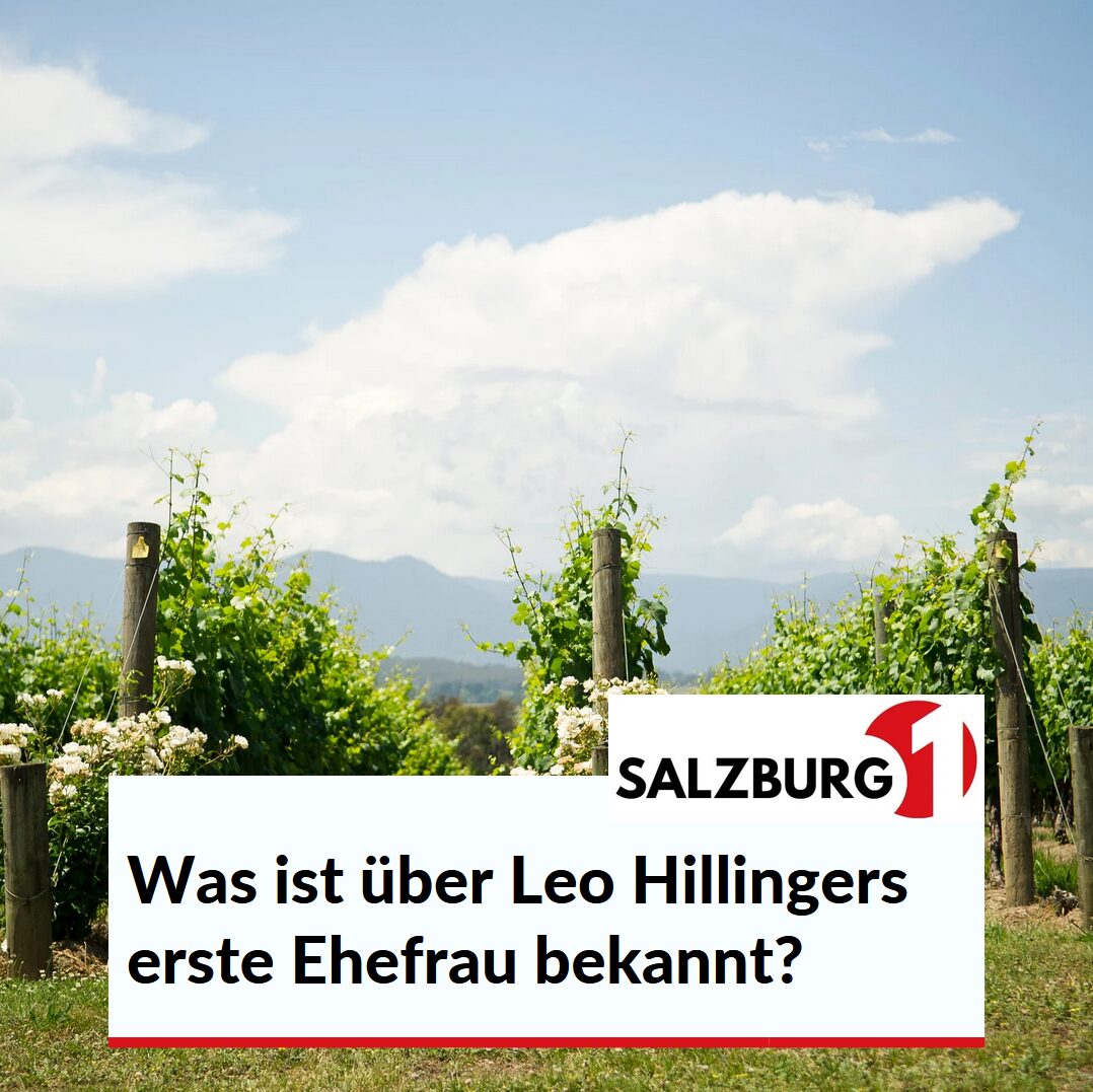 Was ist über Leo Hillingers erste Ehefrau bekannt? Was ist über Leo Hillingers erste Ehefrau bekannt?