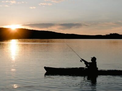 angeln in österreich