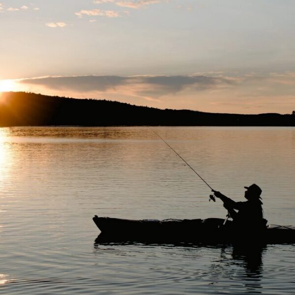 angeln in österreich