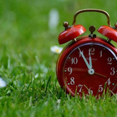 last minute reisen wien