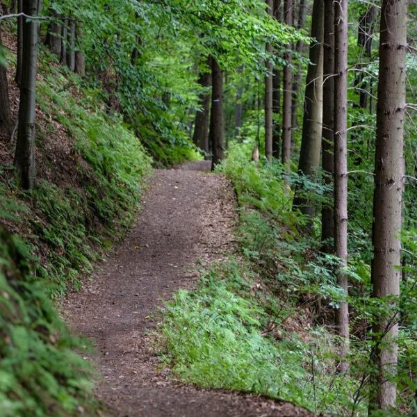 leichte wanderung zum jakobskreuz