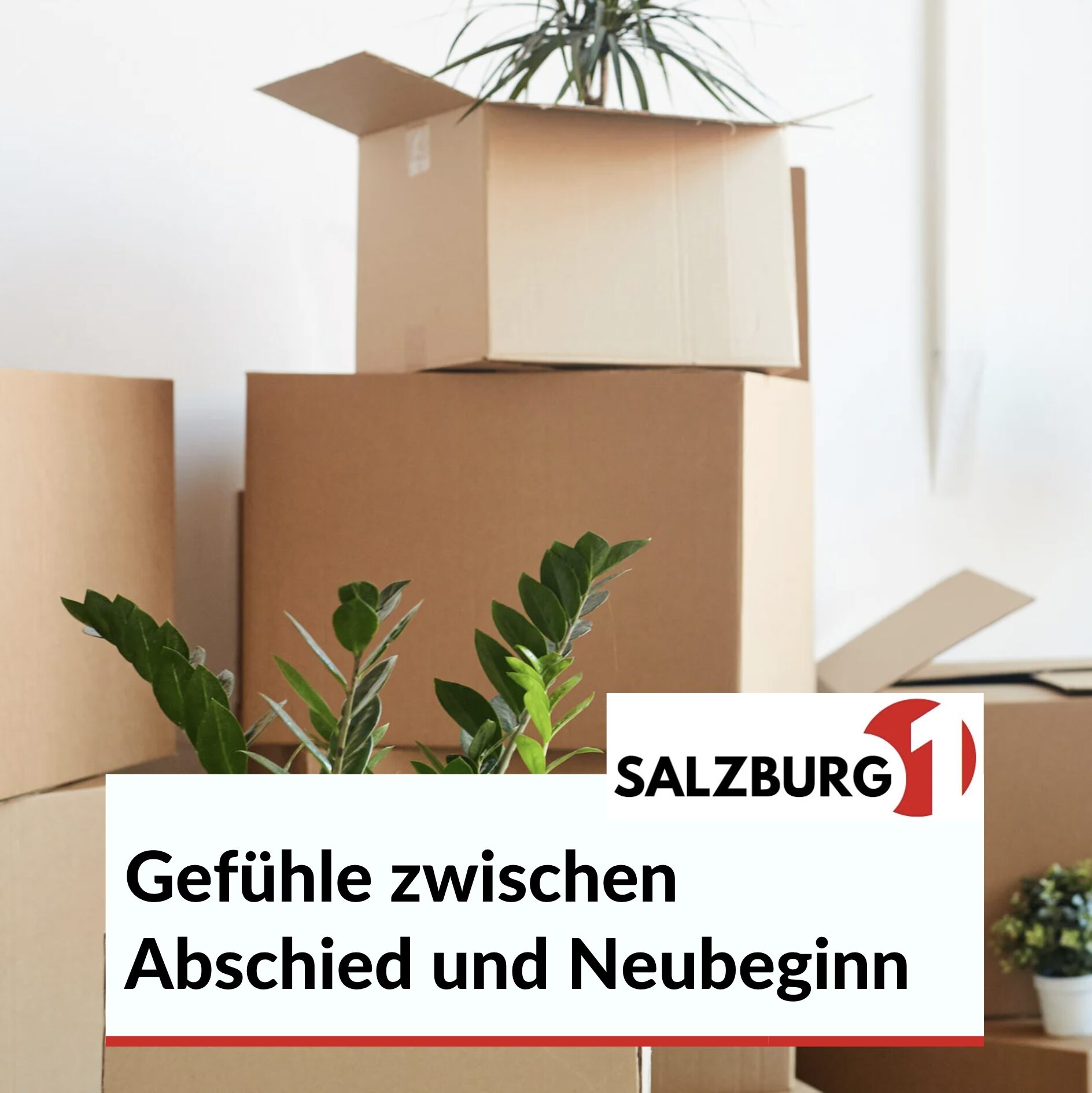 Einzug in die neue Wohnung: Gefühle zwischen Abschied und Neubeginn Einzug in die neue Wohnung: Gefühle zwischen Abschied und Neubeginn